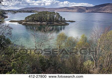 Trees on small lake island, Loch Torridon, Wester Ross, Scotland View Large Photo Image Stock Image - Trees on small lake island, Loch Torridon, Wester Ross, Scotland. Fotosearch