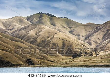 Arid mountains, Marlborough Sounds, South Island New Zealand View Large Photo Image Stock Photo - Arid mountains, Marlborough Sounds, South Island New Zealand. Fotosearch