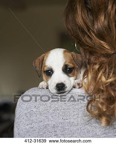 Close up portrait puppy over girl shoulder View Large Photo Image Stock Photo - Close up portrait puppy over girl shoulder. Fotosearch