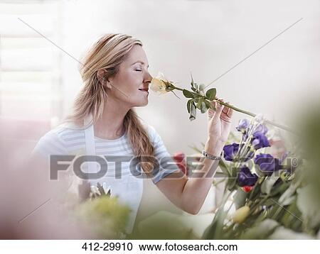 Florist smelling rose in flower shop View Large Photo Image Stock Image - Florist smelling rose in flower shop. Fotosearch