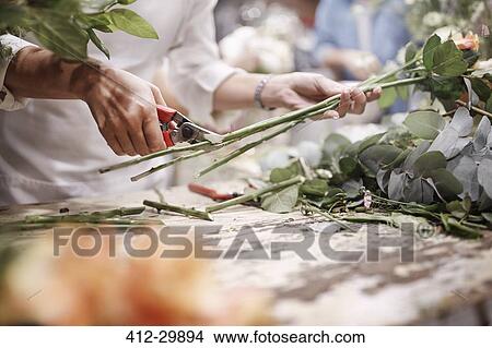 Picture - Florist trimming flower stems at flower shop. Fotosearch