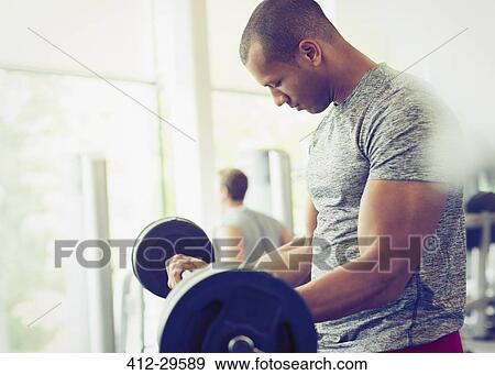 Focused man doing barbell biceps curls at gym View Large Photo Image Stock Photo - Focused man doing barbell biceps curls at gym. Fotosearch