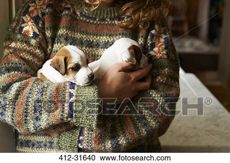 Girl in sweater holding puppies View Large Photo Image Stock Image - Girl in sweater holding puppies. Fotosearch