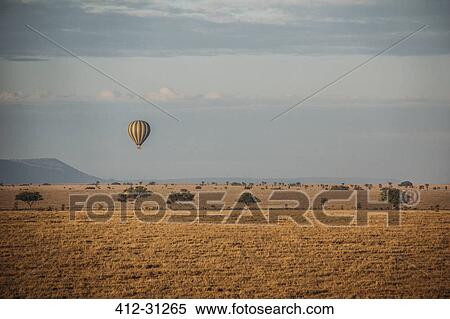 Hot hair balloon floating over tranquil desert, Serengeti, Tanzania View Large Photo Image Stock Photography - Hot hair balloon floating over tranquil desert, Serengeti, Tanzania. Fotosearch