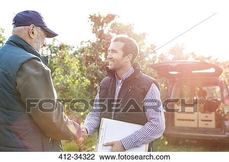 Stock Image - Male farmer and customer handshaking in sunny apple orchard. Fotosearch