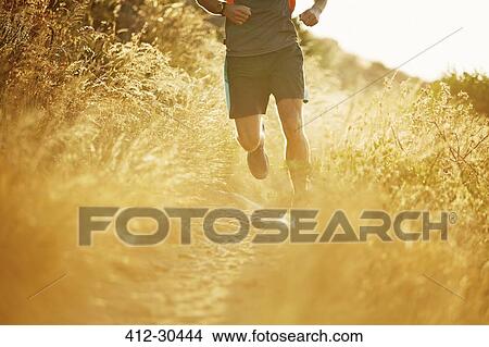 Man running on sunny trail through tall grass View Large Photo Image Picture - Man running on sunny trail through tall grass. Fotosearch