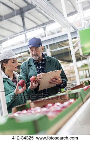Manager with clipboard and worker examining red apples in food processing plant View Large Photo Image Stock Photography - Manager with clipboard and worker examining red apples in food processing plant. Fotosearch