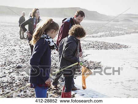 Multi-generation family clamming on rocky beach View Large Photo Image Stock Image - Multi-generation family clamming on rocky beach. Fotosearch