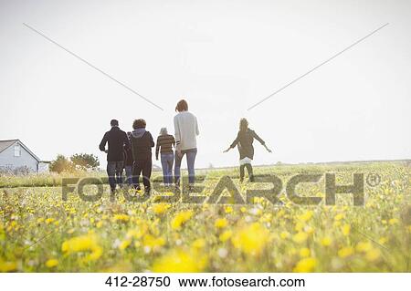 Multi-generation family walking in sunny meadow with wildflowers View Large Photo Image Stock Image - Multi-generation family walking in sunny meadow with wildflowers. Fotosearch