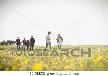 Multi-generation family walking in sunny meadow with wildflowers View Large Photo Image Stock Image - Multi-generation family walking in sunny meadow with wildflowers. Fotosearch