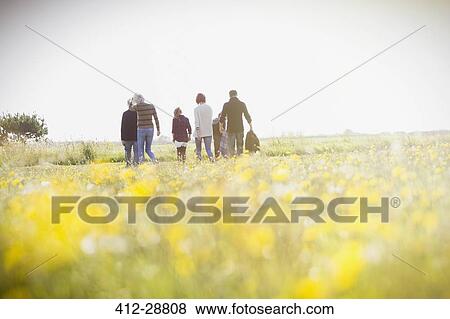 Multi-generation family walking in sunny meadow with wildflowers View Large Photo Image Stock Photo - Multi-generation family walking in sunny meadow with wildflowers. Fotosearch