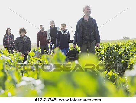 Multi-generation family walking in sunny vegetable garden View Large Photo Image Stock Photography - Multi-generation family walking in sunny vegetable garden. Fotosearch
