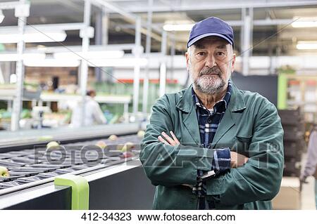 Portrait confident worker at conveyor belt in food processing plant View Large Photo Image Stock Image - Portrait confident worker at conveyor belt in food processing plant. Fotosearch