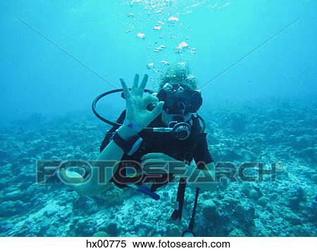 Portrait of scuba diver gesturing okay underwater View Large Photo Image Stock Photography - Portrait of scuba diver gesturing okay underwater. Fotosearch