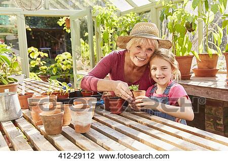Stock Image - Portrait smiling grandmother and granddaughter potting plants in greenhouse. Fotosearch