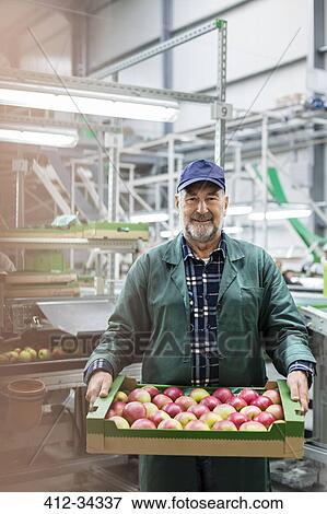 Stock Photo - Portrait smiling worker carrying box of apples in food processing plant. Fotosearch
