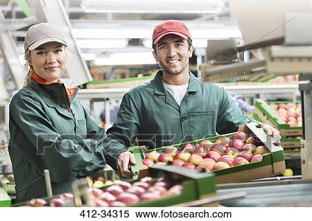 Stock Photography - Portrait smiling workers with boxes of red apples in food processing plant. Fotosearch
