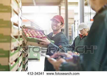 Stock Image - Smiling male worker carrying box of apples in food processing plant. Fotosearch