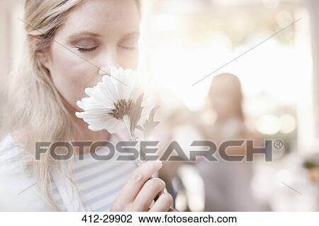 Woman smelling white gerber daisy View Large Photo Image Stock Image - Woman smelling white gerber daisy. Fotosearch