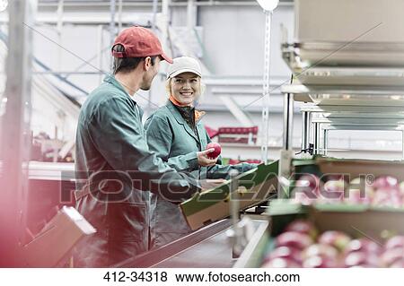 Stock Photo - Workers talking and inspecting apples in food processing plant. Fotosearch