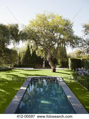 Stock Photo - Lap pool in tranquil garden. Fotosearch