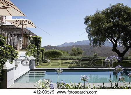 Luxury lap pool with tree and mountains in background View Large Photo Image Stock Photo - Luxury lap pool with tree and mountains in background. Fotosearch