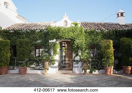Potted topiaries and ivy surrounding villa entrance View Large Photo Image Stock Photo - Potted topiaries and ivy surrounding villa entrance. Fotosearch