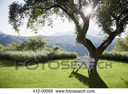 Sun shining behind tree with mountains in background View Large Photo Image Stock Photography - Sun shining behind tree with mountains in background. Fotosearch