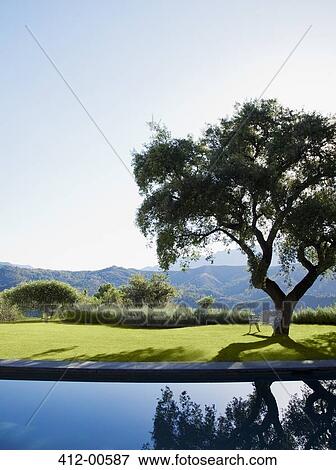 Swimming pool overlooking tree and mountains View Large Photo Image Stock Photo - Swimming pool overlooking tree and mountains. Fotosearch