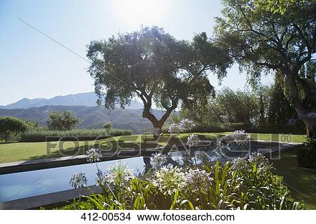 View of trees and mountains behind luxury lap pool View Large Photo Image Picture - View of trees and mountains behind luxury lap pool. Fotosearch