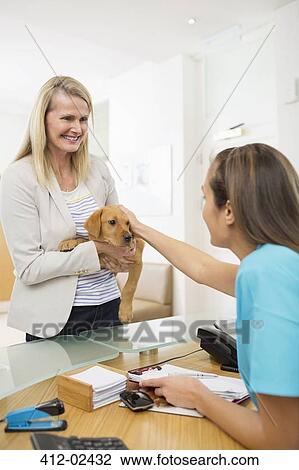 Owner bringing dog to vet's surgery View Large Photo Image Stock Image - Owner bringing dog to vet's surgery. Fotosearch
