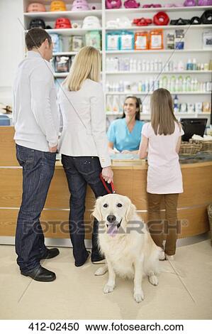 Owners bringing dog to vet's surgery View Large Photo Image Stock Image - Owners bringing dog to vet's surgery. Fotosearch