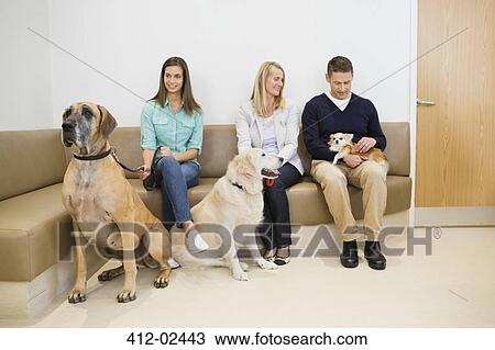 Owners with pet in waiting area? of vet' View Large Photo Image Stock Image - Owners with pet in waiting area? of vet'. Fotosearch