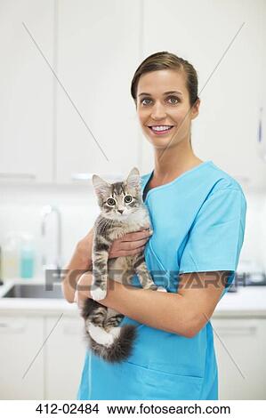 Smiling Veterinarian holding cat in vet's surgery View Large Photo Image Picture - Smiling Veterinarian holding cat in vet's surgery. Fotosearch