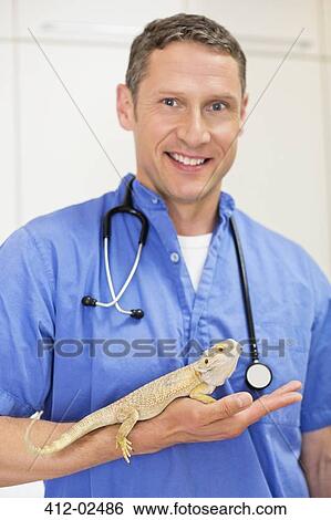 Stock Photograph - Smiling veterinarian holding lizard in vet's surgery. Fotosearch