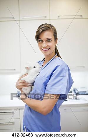 Smiling veterinarian holding rabbit in vet's surgery View Large Photo Image Stock Photo - Smiling veterinarian holding rabbit in vet's surgery. Fotosearch
