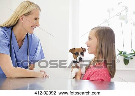 Stock Image - Veterinarian and owner examining dog in vet's surgery. Fotosearch