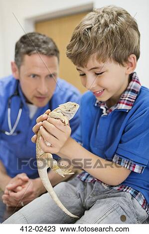 Veterinarian and owner examining lizard in vet's surgery View Large Photo Image Stock Image - Veterinarian and owner examining lizard in vet's surgery. Fotosearch