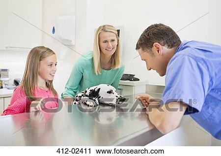 Veterinarian and owners examining dog in vet's surgery View Large Photo Image Stock Image - Veterinarian and owners examining dog in vet's surgery. Fotosearch