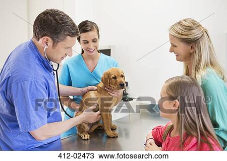 Stock Image - Veterinarian and owners examining dog in vet's surgery. Fotosearch