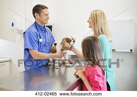 Veterinarian and owners examining dog in vet's surgery View Large Photo Image Stock Photography - Veterinarian and owners examining dog in vet's surgery. Fotosearch