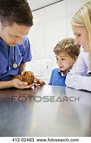 Veterinarian and owners examining guinea pig in vet's surgery Stock