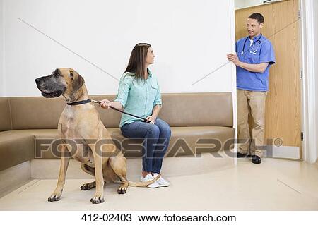 Veterinarian calling owner and dog into vet's surgery View Large Photo Image Stock Image - Veterinarian calling owner and dog into vet's surgery. Fotosearch