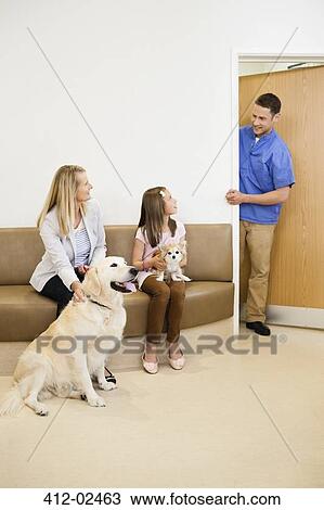 Veterinarian calling owners and pets to surgery View Large Photo Image Stock Image - Veterinarian calling owners and pets to surgery. Fotosearch