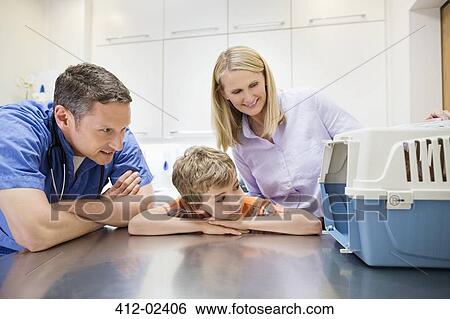 Stock Photograph - Veterinarian examining animal in crate in vet's surgery. Fotosearch