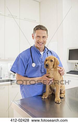 Stock Photo - Veterinarian examining dog in vet's surgery. Fotosearch