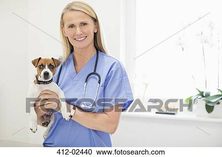 Veterinarian holding dog in vet's surgery View Large Photo Image Stock Image - Veterinarian holding dog in vet's surgery. Fotosearch