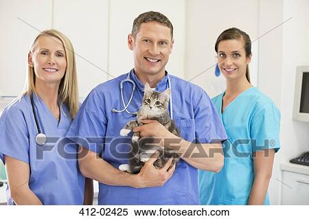 Veterinarians holding cat in vet's surgery View Large Photo Image Stock Photography - Veterinarians holding cat in vet's surgery. Fotosearch
