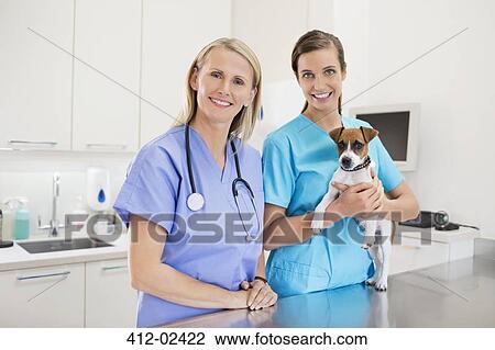 Veterinarians holding dog in vet's surgery View Large Photo Image Stock Image - Veterinarians holding dog in vet's surgery. Fotosearch