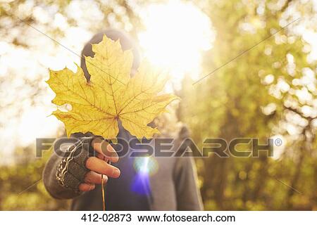 Stock Image - Boy holding autumn leaf outdoors. Fotosearch